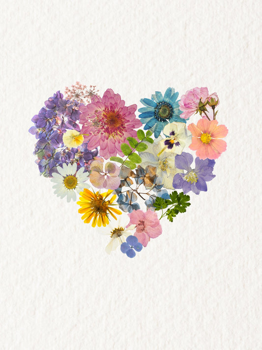 Pressed Floral Art Cards - Autumn and Ro