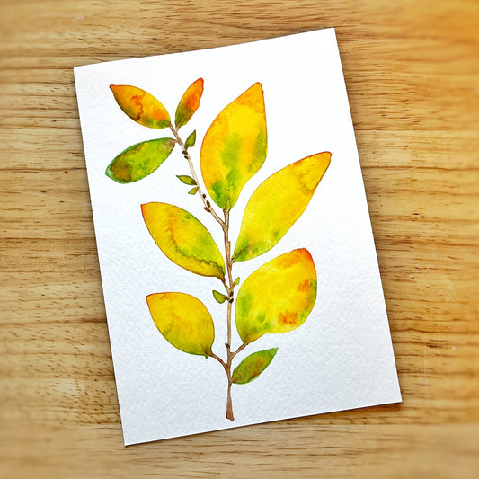 Watercolor Workshops